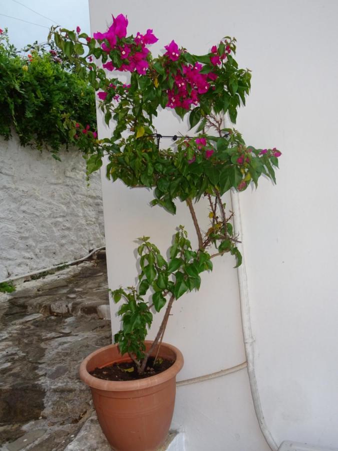 Fotis House Villa โคโรนิ ภายนอก รูปภาพ